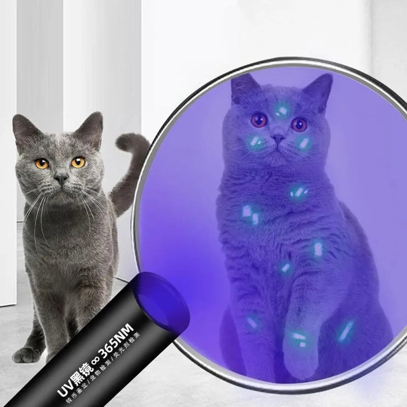 Fluorescente UV Pet Fungus Detection Luz, Cat Moss, Black Mirror, Equipamento profissional veterinário, Fungo, 1pc