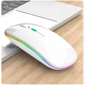 Mouse Sem Fio Recarregável Wireless Led Rgb Ergonômico Novo